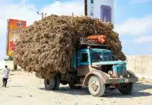 Comment charger et décharger efficacement un camion 11m3