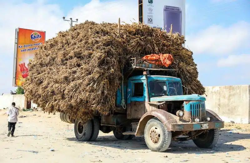 Comment charger et décharger efficacement un camion 11m3